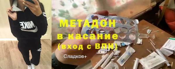 прущие грибы Наволоки