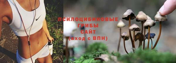 прущие грибы Наволоки