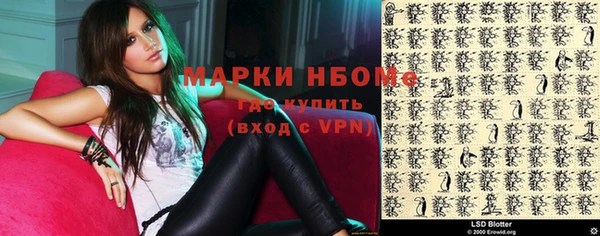 прущие грибы Наволоки
