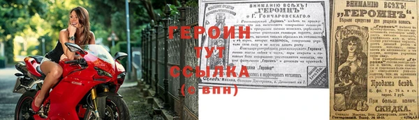 прущие грибы Наволоки