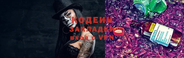 прущие грибы Наволоки