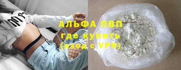 прущие грибы Наволоки