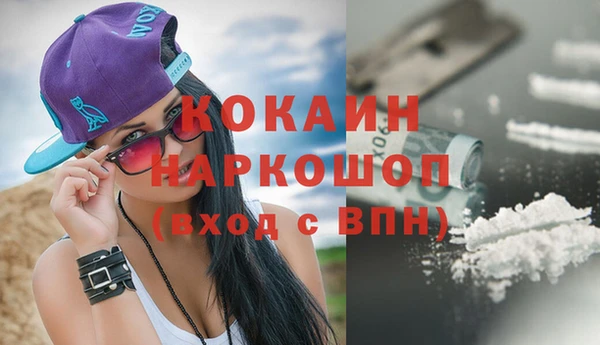 прущие грибы Наволоки